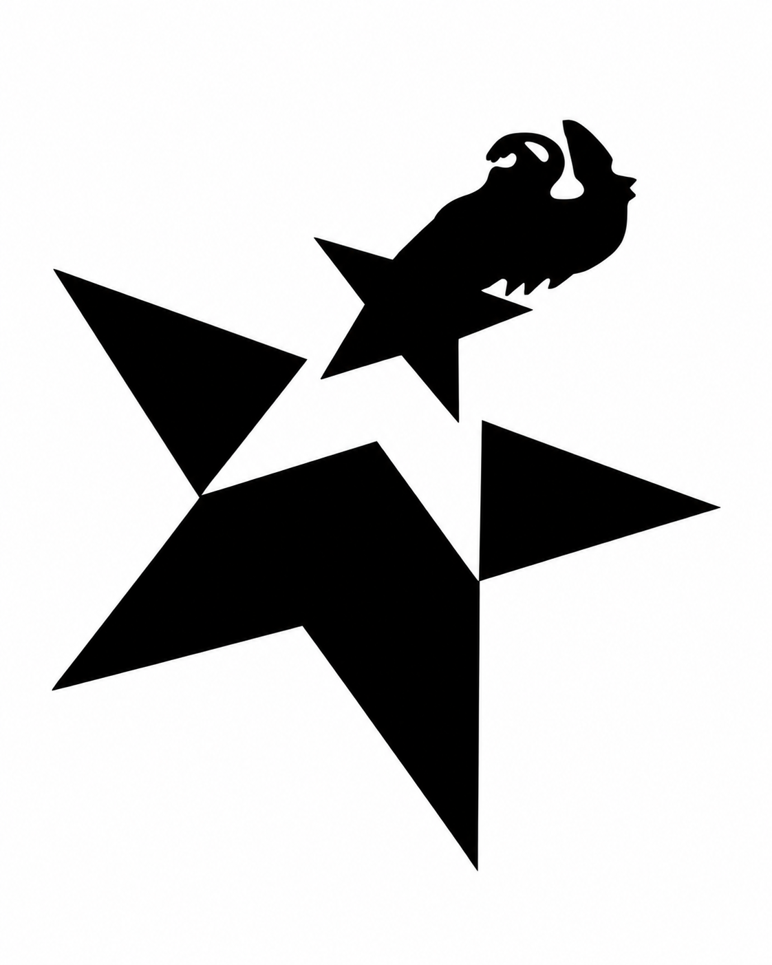 Star Chem logo